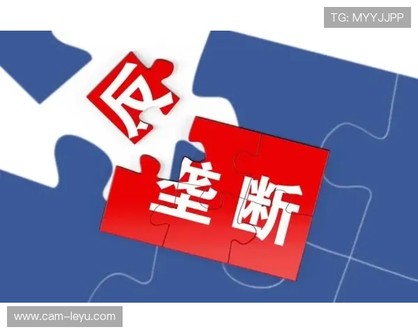 资深裁判解读规则执行细节，强调公平竞争的重要性。