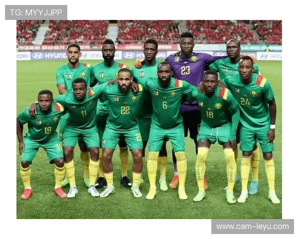 非洲杯F组第二轮科特迪瓦对阵喀麦隆，卫冕冠军迎战五冠王